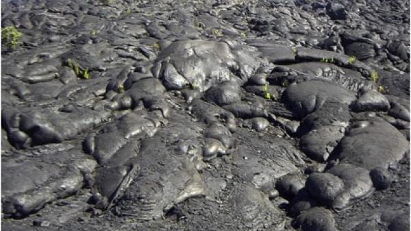 A field of dark gray, smooth and ropey hardened lava flows with a few hints of green growth appear in cracks.